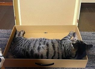 くつろぎ中・・・