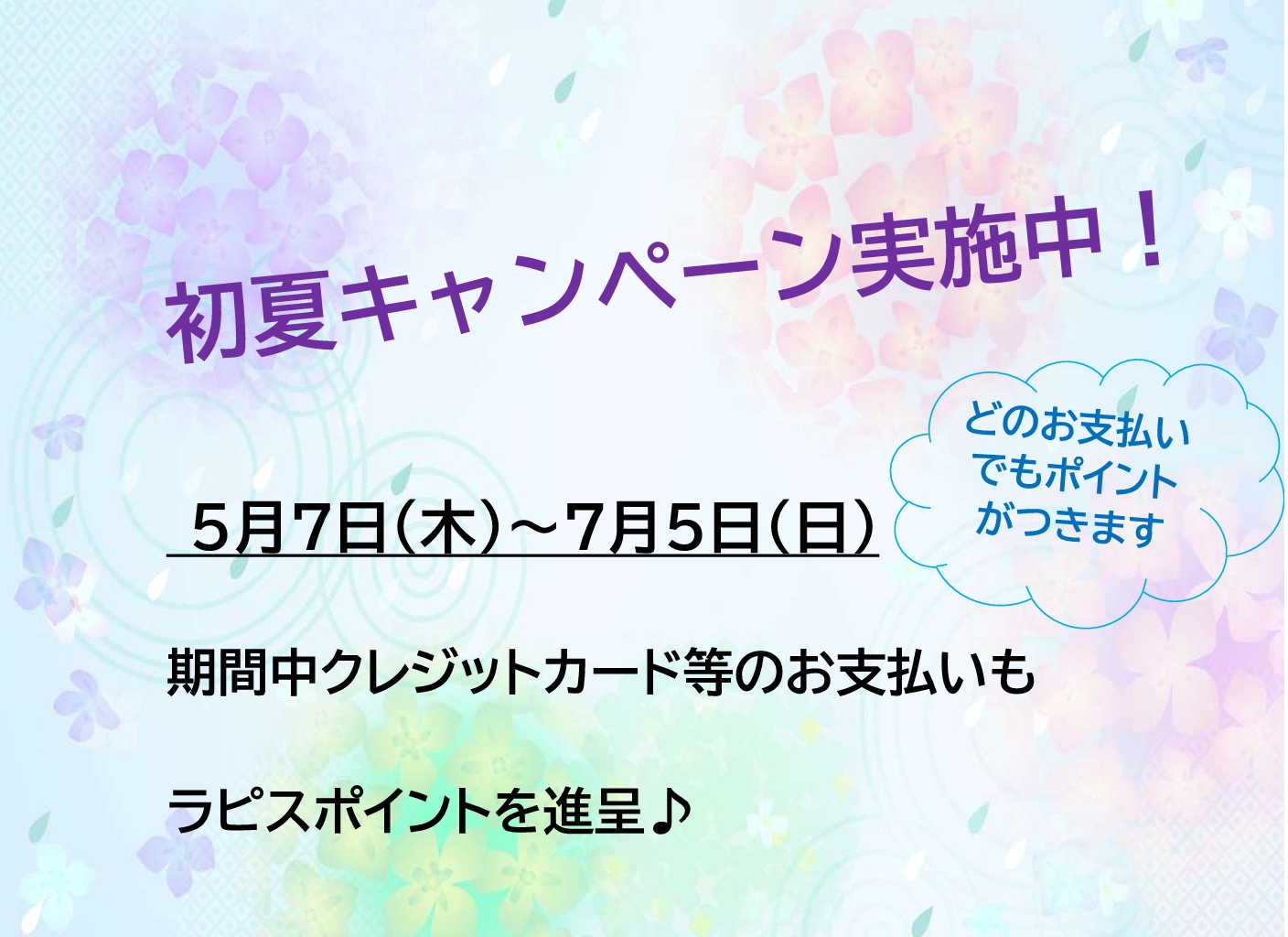 初夏キャンペーン